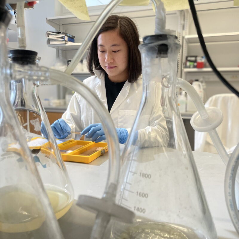 Person in the lab with equipment.