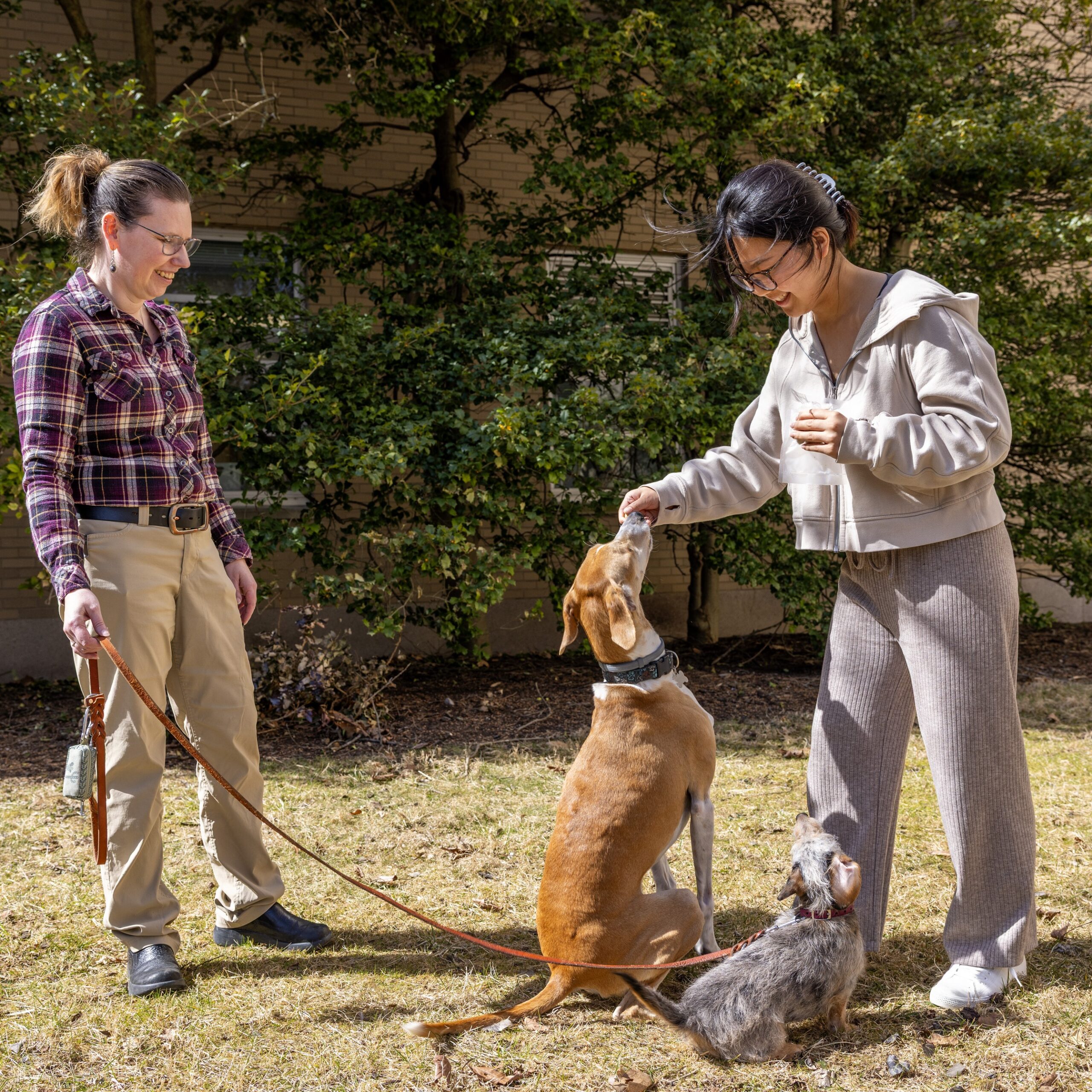 Two veterinary researchers with their two pet dogs.