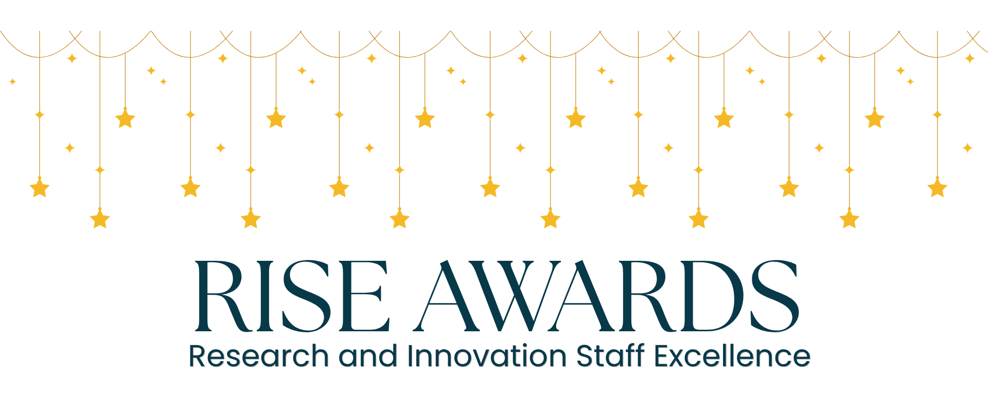 RISE AWARDS
Research and Innovation Staff Excellence