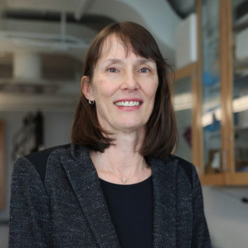 Marjolein van der Meulen